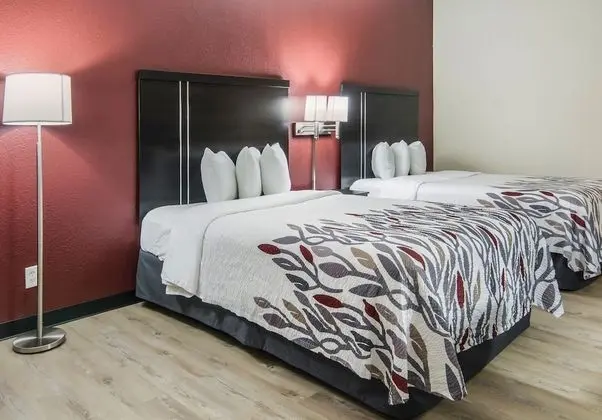 Deluxe Oda, 2 Çift Kişilik Yatak, Engellilere Uygun (Smoke Free)