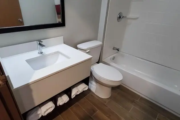 Deluxe Oda, 2 Çift Kişilik Yatak, Engellilere Uygun (Smoke Free)