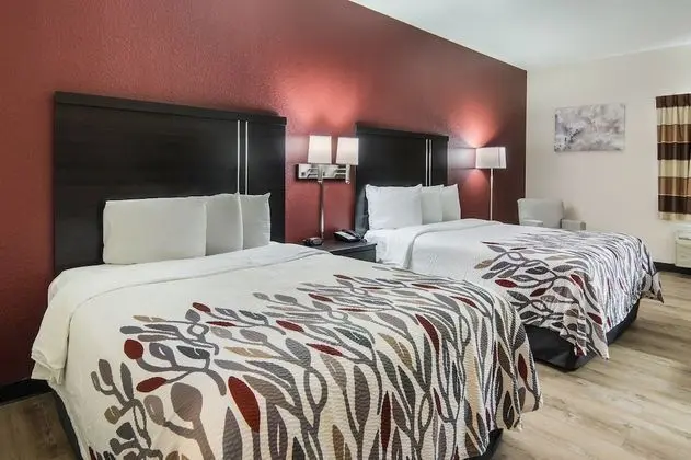 Deluxe Oda, 2 Çift Kişilik Yatak (Smoke Free)