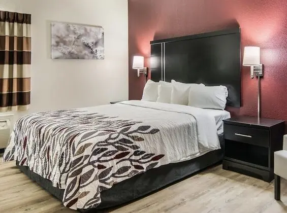 Superior Oda, 1 En Büyük (King) Boy Yatak (Smoke Free)