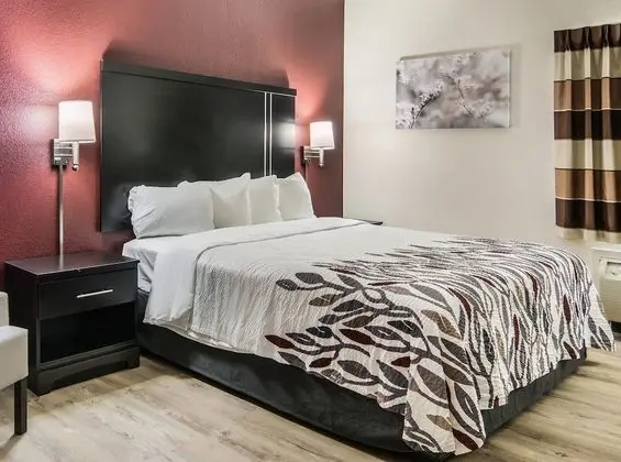 Superior Oda, 1 En Büyük (King) Boy Yatak (Smoke Free)