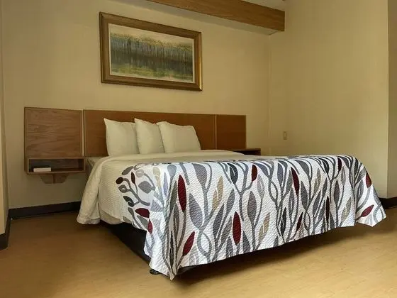 Deluxe Oda, 1 Büyük (Queen) Boy Yatak, Engellilere Uygun, Sigara İçilmez (Roll-In Shower)
