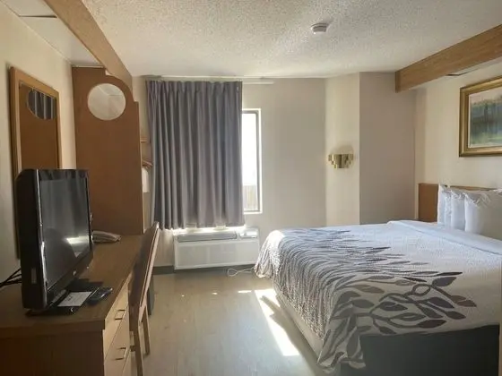 Deluxe Oda, 1 Büyük (Queen) Boy Yatak, Engellilere Uygun, Sigara İçilmez (Roll-In Shower)