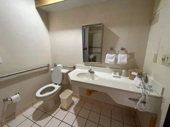 Deluxe Oda, 1 Büyük (Queen) Boy Yatak, Engellilere Uygun, Sigara İçilmez (Roll-In Shower)
