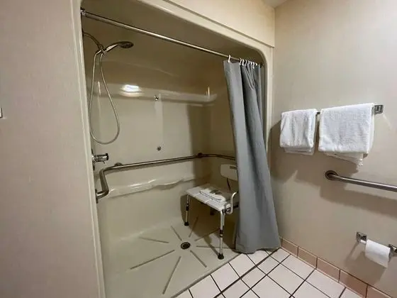 Deluxe Oda, 1 Büyük (Queen) Boy Yatak, Engellilere Uygun, Sigara İçilmez (Roll-In Shower)