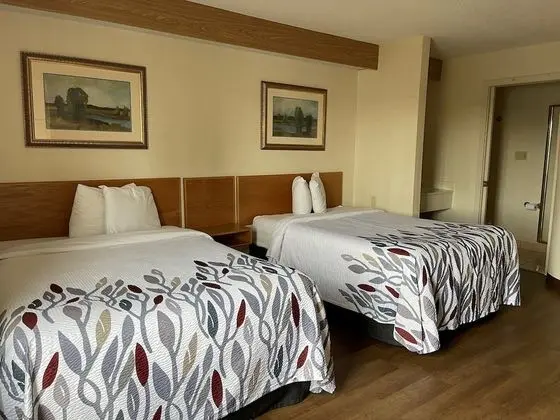Deluxe Oda, 2 Çift Kişilik Yatak, Sigara İçilmez