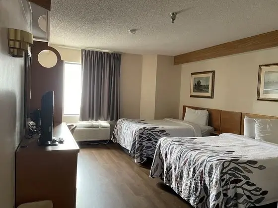 Deluxe Oda, 2 Çift Kişilik Yatak, Sigara İçilmez