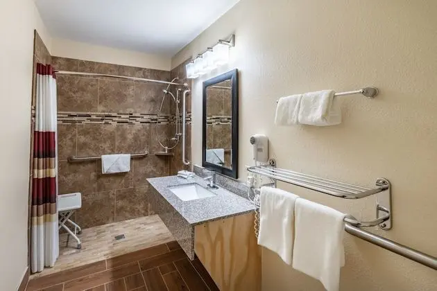 Superior Oda, 1 En Büyük (King) Boy Yatak ve Çekyat, Engellilere Uygun (Roll-In Shower)