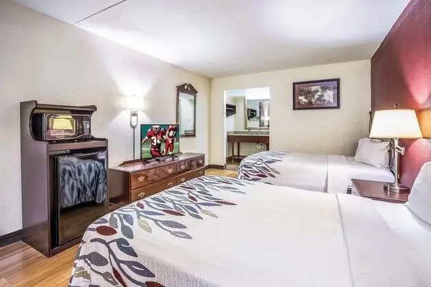 Deluxe Oda, 2 Büyük (Queen) Boy Yatak, Sigara İçilmez