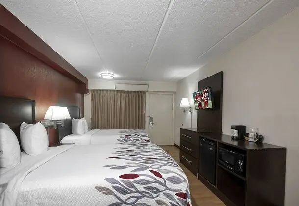 Deluxe Oda, 2 Çift Kişilik Yatak, Sigara İçilmez