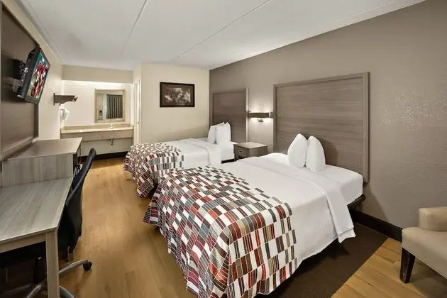 Deluxe Oda, 2 Çift Kişilik Yatak (Smoke Free)