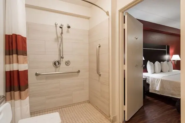 Deluxe Oda, 1 Çift Kişilik Yatak, Engellilere Uygun, Sigara İçilebilir (Roll-In Shower)