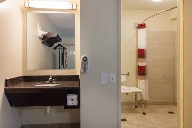 Deluxe Oda, 1 Çift Kişilik Yatak, Engellilere Uygun, Sigara İçilmez (Roll-In Shower)