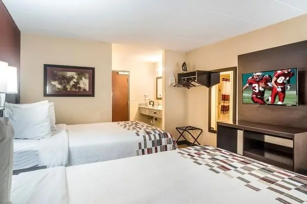 Deluxe Oda, 2 Çift Kişilik Yatak, Sigara İçilmez