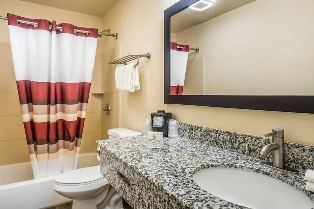 Deluxe Oda, 2 Çift Kişilik Yatak, Sigara İçilmez