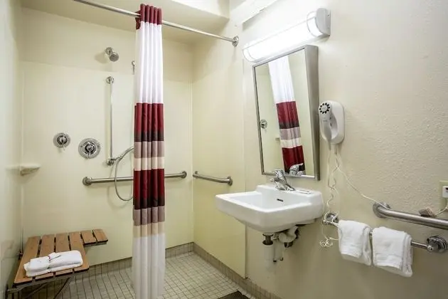 Deluxe Oda, 1 En Büyük (King) Boy Yatak, Engellilere Uygun (Roll-In Shower, Smoke Free)