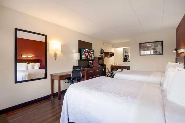 Premium Oda, 2 Çift Kişilik Yatak (Upgraded Bedding & Snack, Smoke Free)
