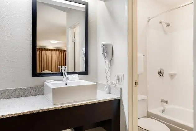 Premium Oda, 2 Çift Kişilik Yatak (Upgraded Bedding & Snack, Smoke Free)