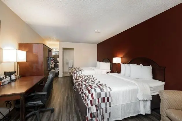 Deluxe Oda, 2 Çift Kişilik Yatak, Engellilere Uygun, Sigara İçilmez