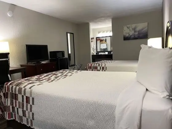 Deluxe Oda, 2 Çift Kişilik Yatak, Sigara İçilmez