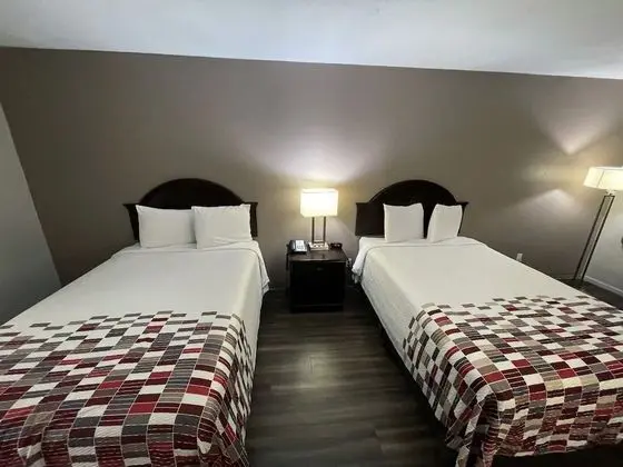 Deluxe Oda, 2 Çift Kişilik Yatak, Sigara İçilmez