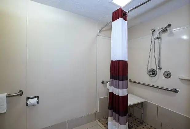 Deluxe Oda, 2 Çift Kişilik Yatak, Engellilere Uygun, Sigara İçilmez (Roll-In Shower)