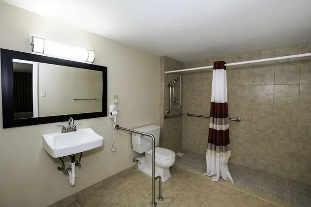 Superior Oda, 1 En Büyük (King) Boy Yatak, Engellilere Uygun, Sigara İçilmez (Roll-In Shower)