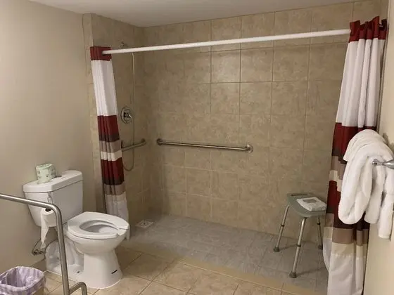 Superior Oda, 1 En Büyük (King) Boy Yatak, Engellilere Uygun, Sigara İçilmez (Roll-In Shower)