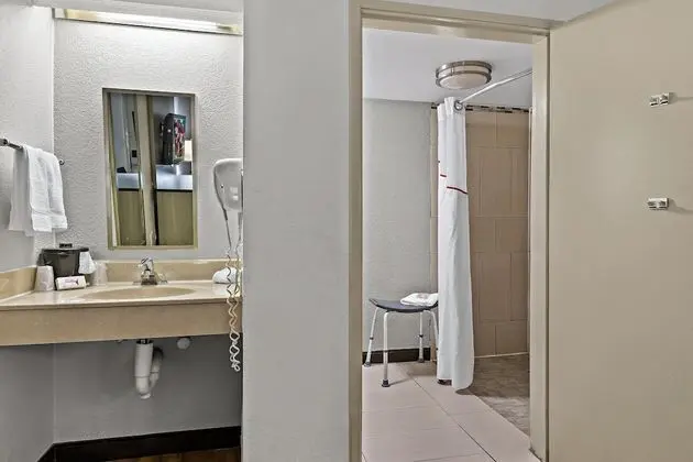 Deluxe Oda, 1 En Büyük (King) Boy Yatak, Engellilere Uygun (Roll-In Shower, Smoke Free)