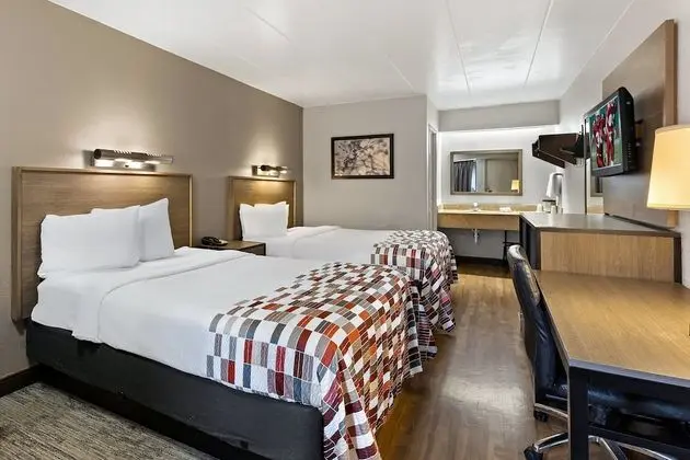 Deluxe Oda, 2 Çift Kişilik Yatak (Smoke Free)