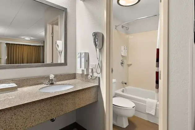 Deluxe Oda, 2 Çift Kişilik Yatak (Smoke Free)