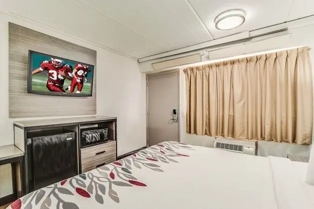 Deluxe Oda, 1 En Büyük (King) Boy Yatak, Engellilere Uygun (Roll-In Shower, Smoke Free)