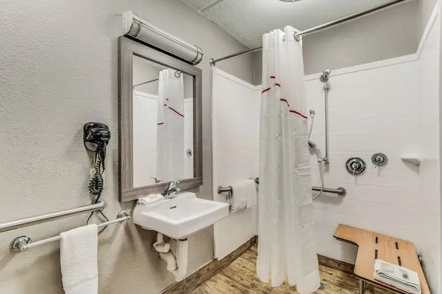 Deluxe Oda, 1 En Büyük (King) Boy Yatak, Engellilere Uygun (Roll-In Shower, Smoke Free)