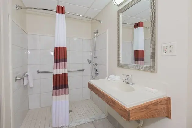 Deluxe Oda, 1 Büyük (Queen) Boy Yatak, Engellilere Uygun, Sigara İçilmez (Roll-In Shower)