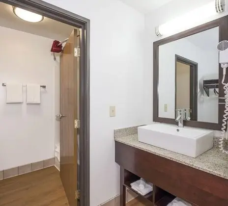 Deluxe Oda, 2 Çift Kişilik Yatak, Sigara İçilmez