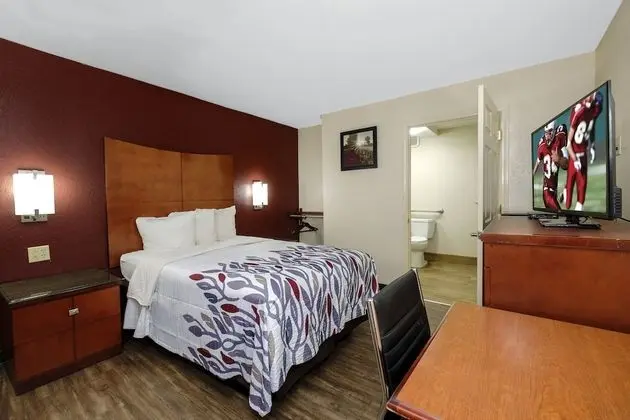 Deluxe Oda, 1 Çift Kişilik Yatak, Engellilere Uygun, Sigara İçilebilir