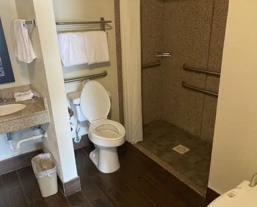 Superior Oda, 1 En Büyük (King) Boy Yatak, Engellilere Uygun, Sigara İçilmez (Roll-In Shower)