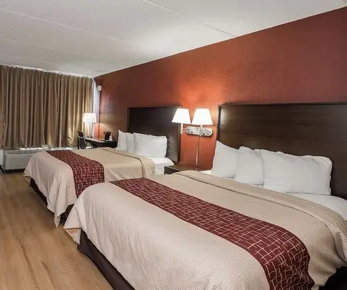 Deluxe Oda, 2 Çift Kişilik Yatak, Sigara İçilmez