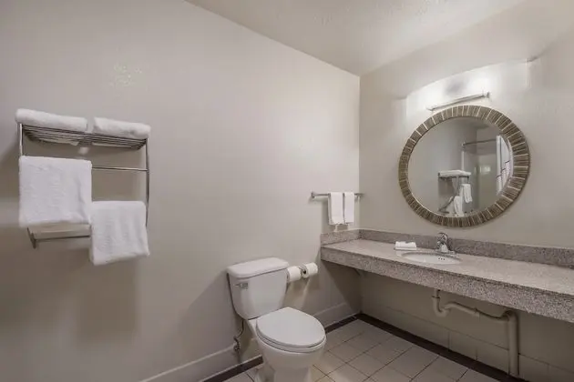 Deluxe Oda, 1 En Büyük (King) Boy Yatak, Engellilere Uygun, Sigara İçilmez