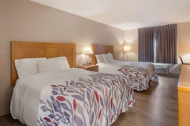 Deluxe Oda, 2 Çift Kişilik Yatak, Sigara İçilmez