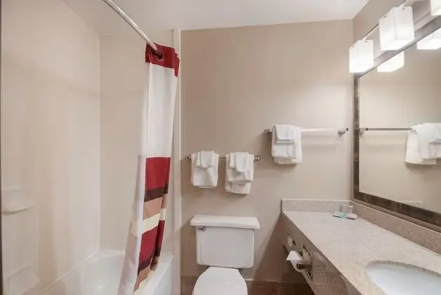 Deluxe Oda, 2 Çift Kişilik Yatak, Sigara İçilmez