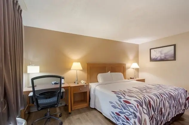 Superior Oda, 1 En Büyük (King) Boy Yatak, Engellilere Uygun, Sigara İçilmez (Roll-In Shower)