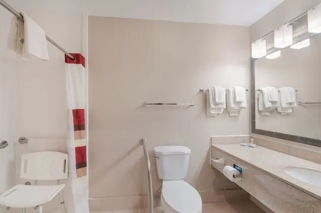 Superior Oda, 1 En Büyük (King) Boy Yatak, Engellilere Uygun, Sigara İçilmez (Roll-In Shower)