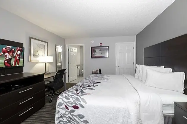 Superior Oda, 1 En Büyük (King) Boy Yatak, Engellilere Uygun, Sigara İçilmez