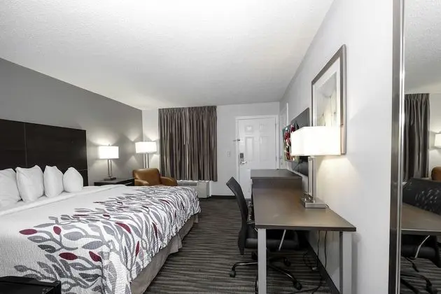 Superior Oda, 1 En Büyük (King) Boy Yatak, Engellilere Uygun, Sigara İçilmez