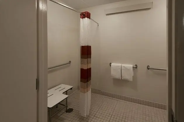 Deluxe Oda, 1 En Büyük (King) Boy Yatak, Engellilere Uygun, Sigara İçilmez (Roll-In Shower)