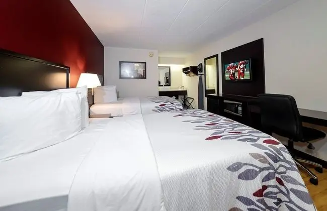 Deluxe Oda, 2 Çift Kişilik Yatak, Sigara İçilmez