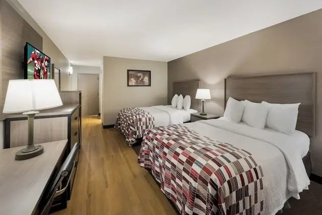 Deluxe Oda, 2 Çift Kişilik Yatak, Sigara İçilmez