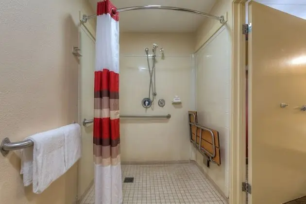 Superior Oda, 1 En Büyük (King) Boy Yatak, Engellilere Uygun, Sigara İçilmez (Roll-In Shower)