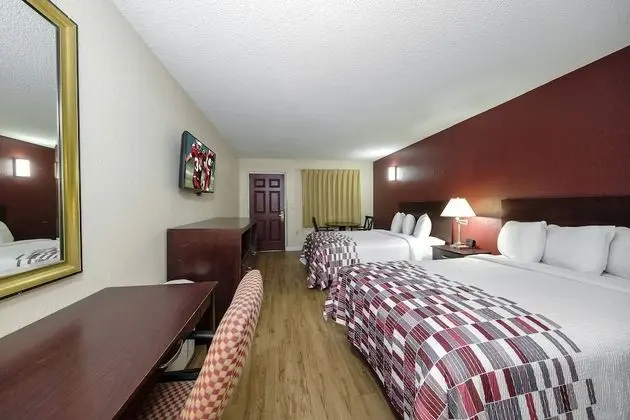 Deluxe Oda, 2 Çift Kişilik Yatak, Sigara İçilebilir